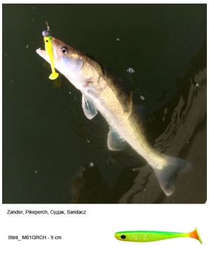 Zander002
