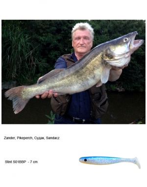 Zander003