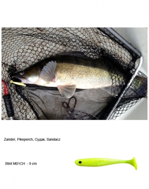 Zander004