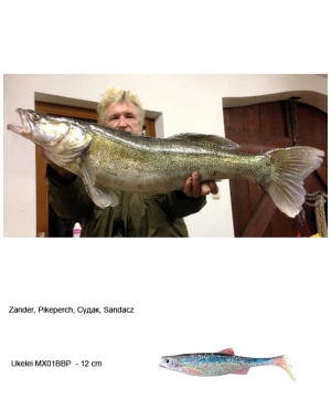 Zander005